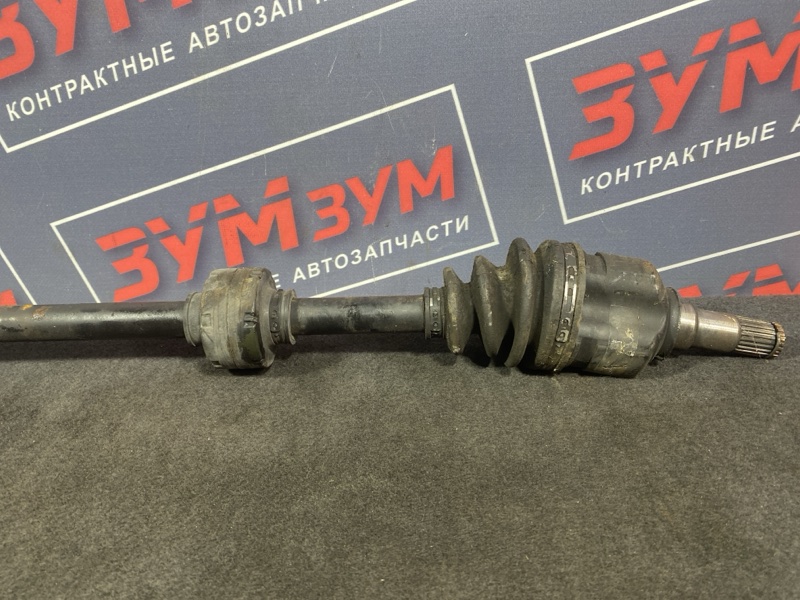 Привод, 1800 рублей, Солонцы