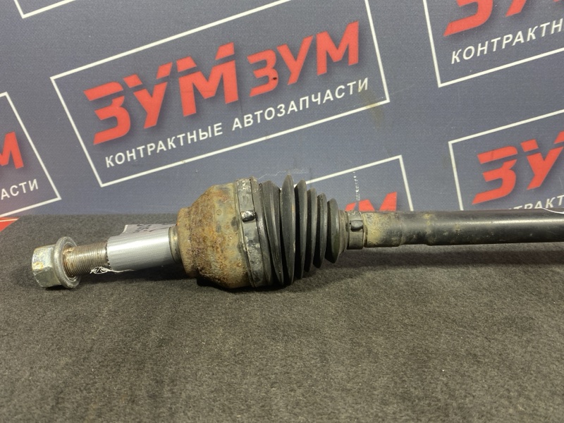 Привод, 7000 рублей, Солонцы