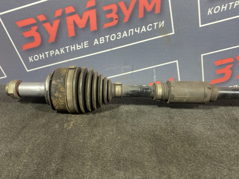 Привод, 1200 рублей, Солонцы
