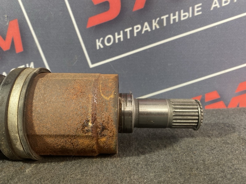 Привод, 1200 рублей, Солонцы
