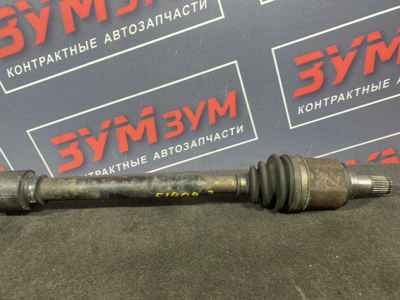 Привод, 3000 рублей, Солонцы