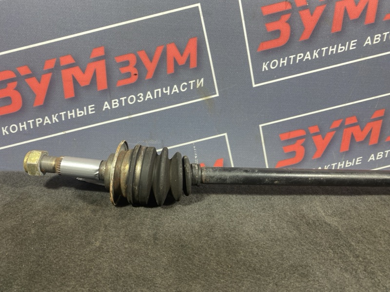 Привод, 1200 рублей, Солонцы