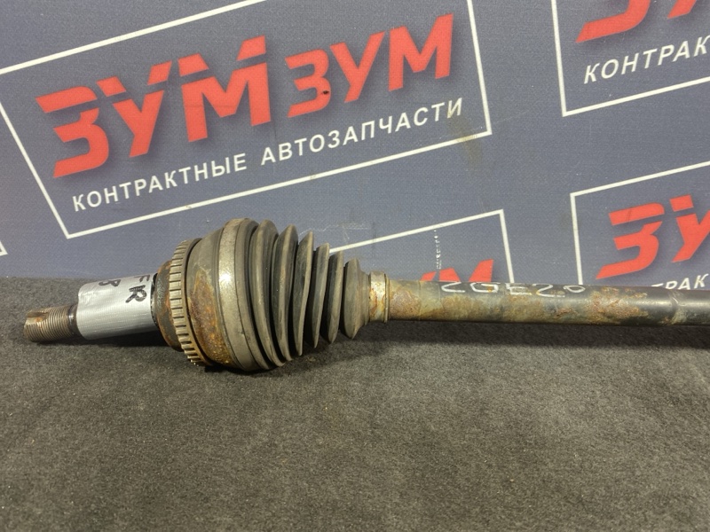 Привод, 5000 рублей, Солонцы