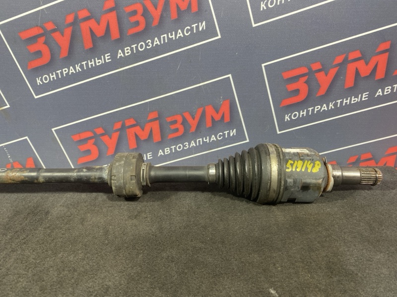 Привод, 5000 рублей, Солонцы