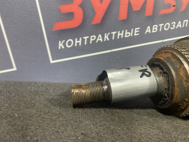 Привод, 5000 рублей, Солонцы