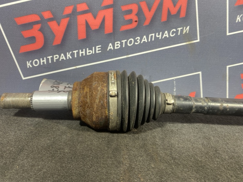 Привод, 5200 рублей, Солонцы