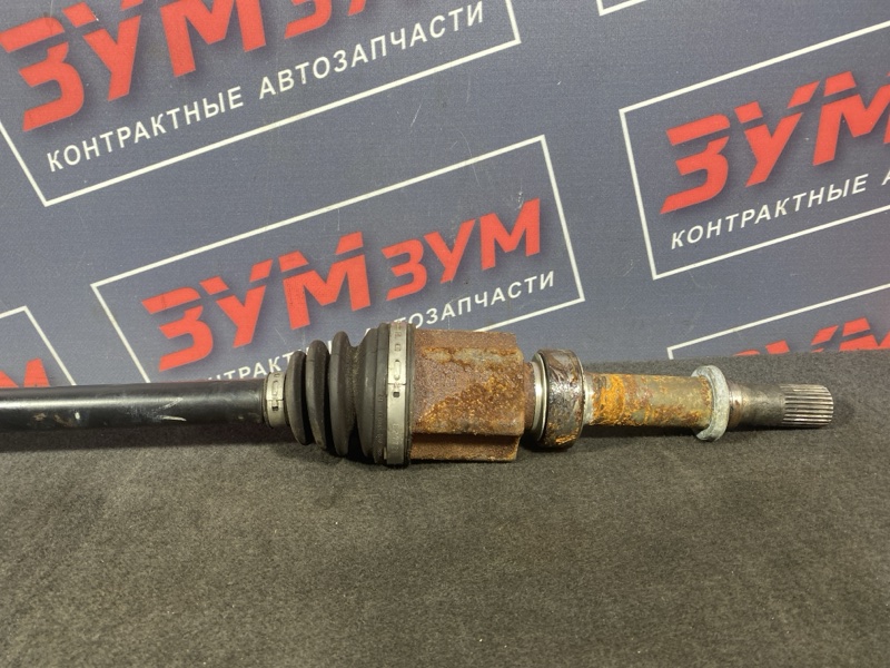 Привод, 5200 рублей, Солонцы