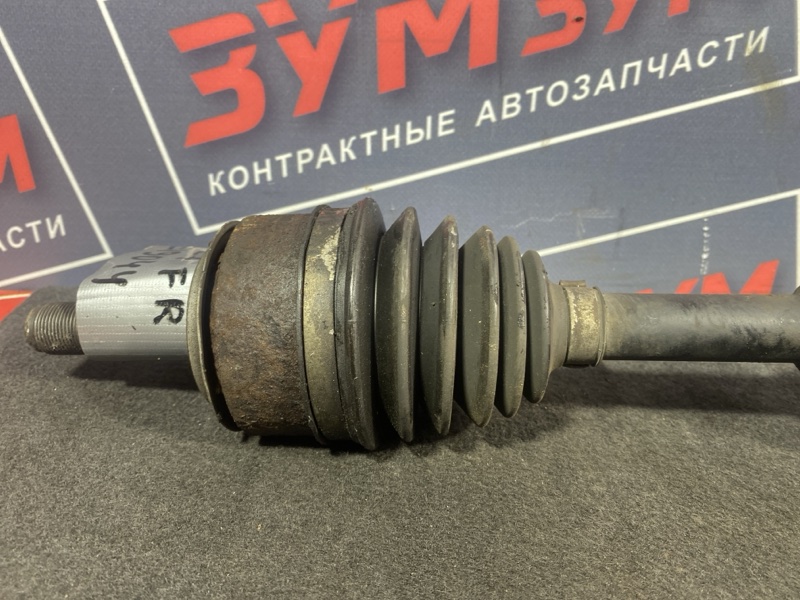 Привод, 3500 рублей, Солонцы