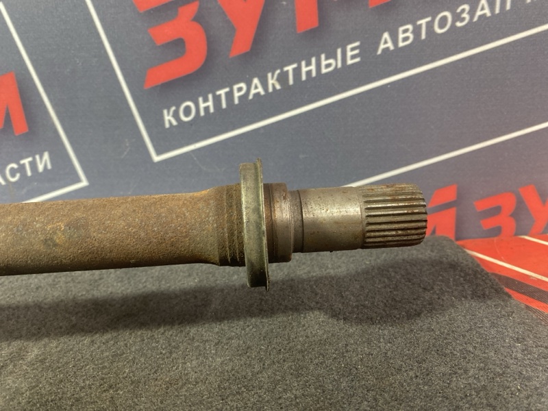 Привод, 3500 рублей, Солонцы