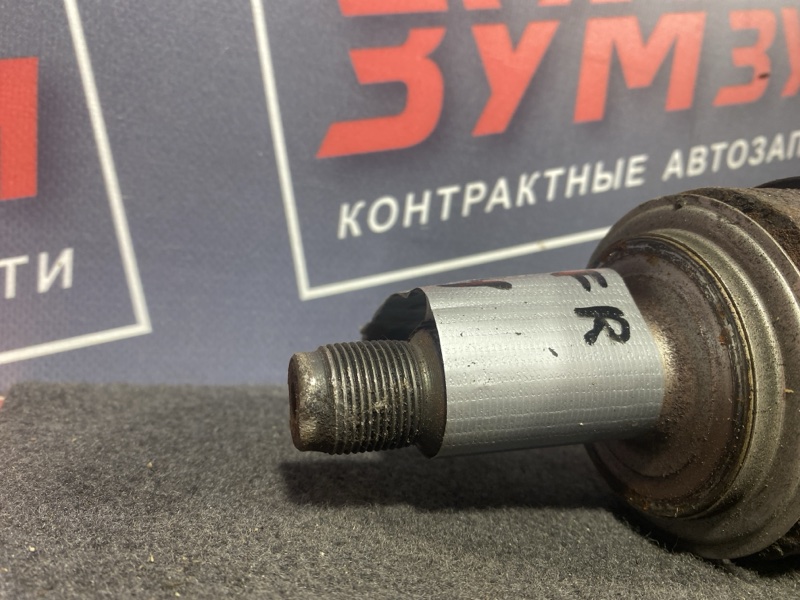 Привод, 3500 рублей, Солонцы