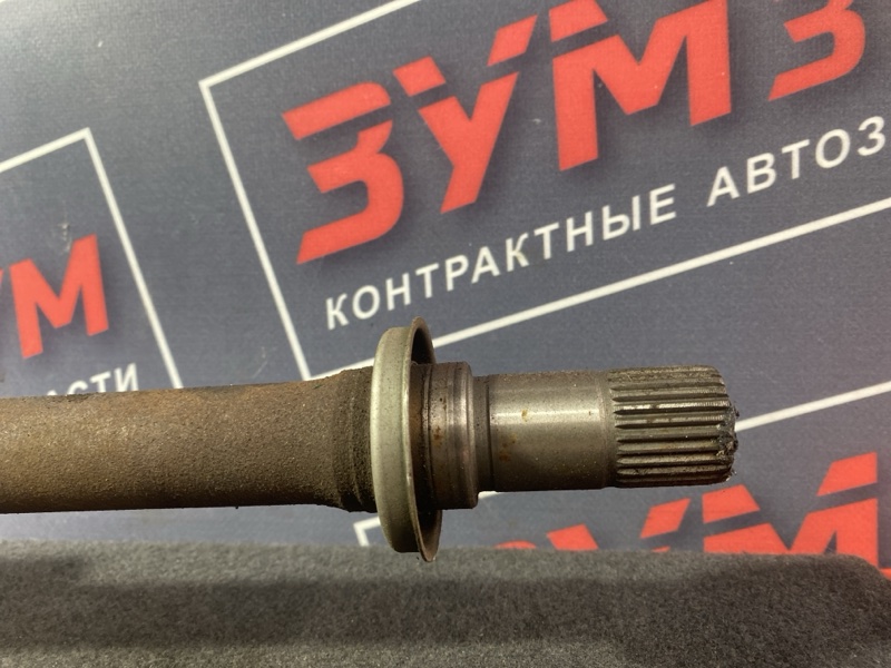 Привод, 15500 рублей, Солонцы