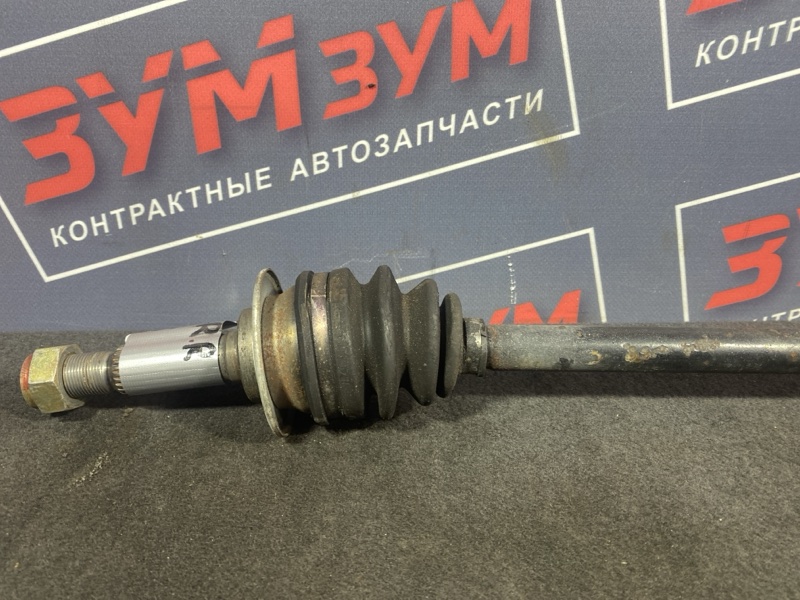 Привод, 1200 рублей, Солонцы
