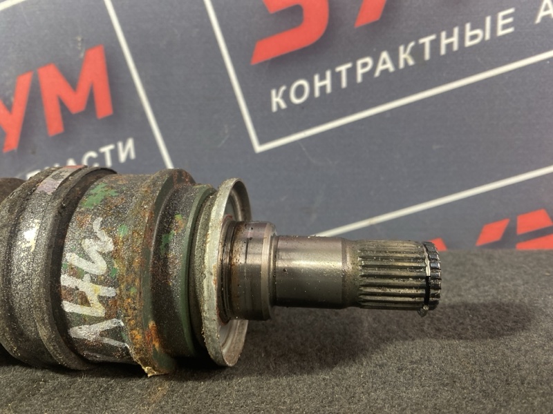 Привод, 1200 рублей, Солонцы