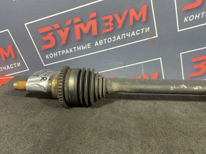 Привод, 6000 рублей, Солонцы