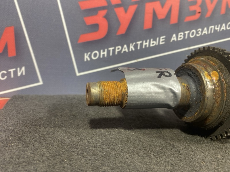 Привод, 6000 рублей, Солонцы