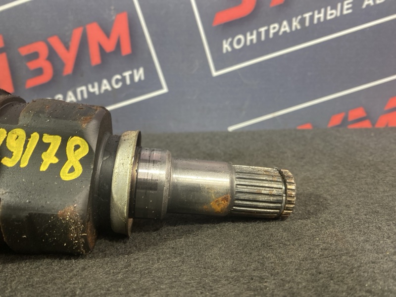 Привод, 3000 рублей, Солонцы