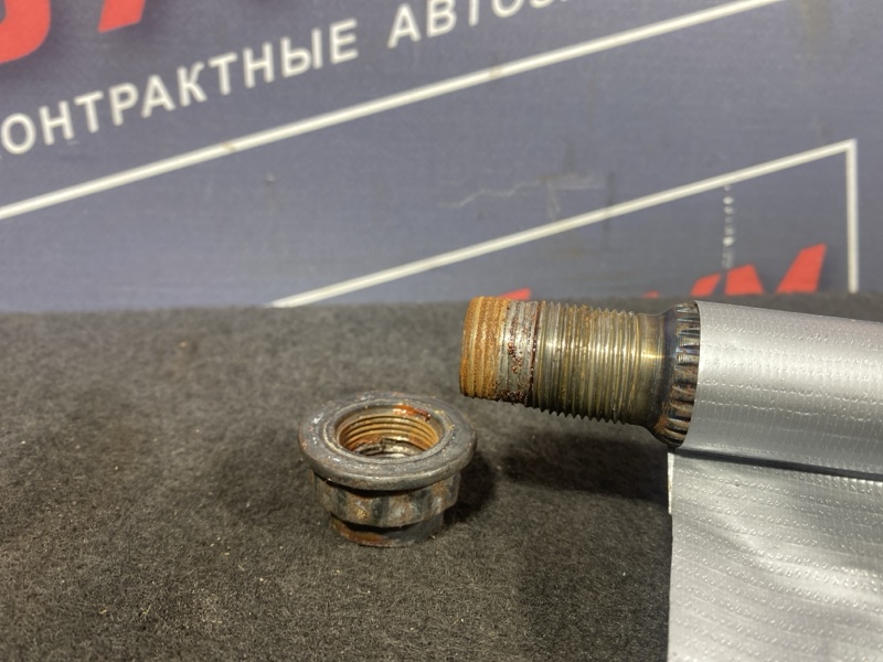 Привод, 3000 рублей, Солонцы