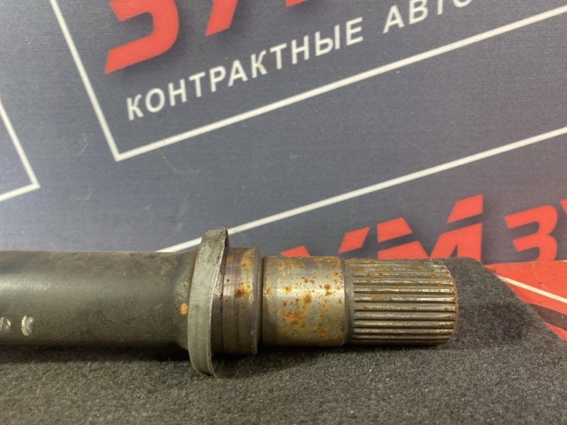 Привод, 6500 рублей, Солонцы