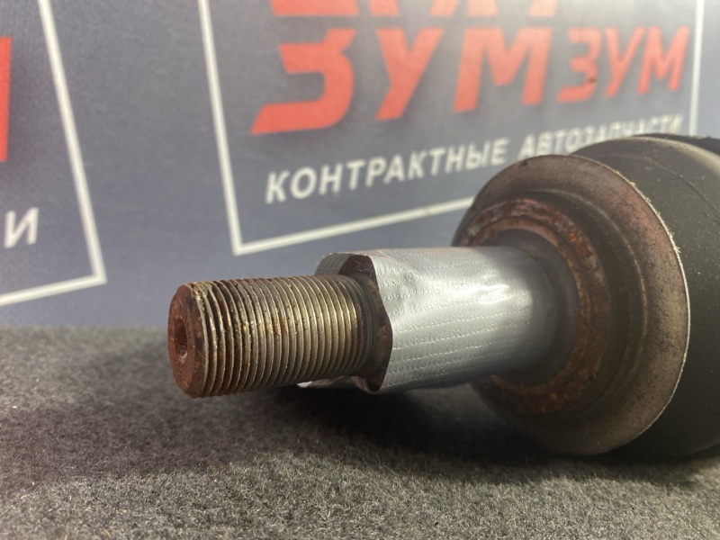 Привод, 6500 рублей, Солонцы