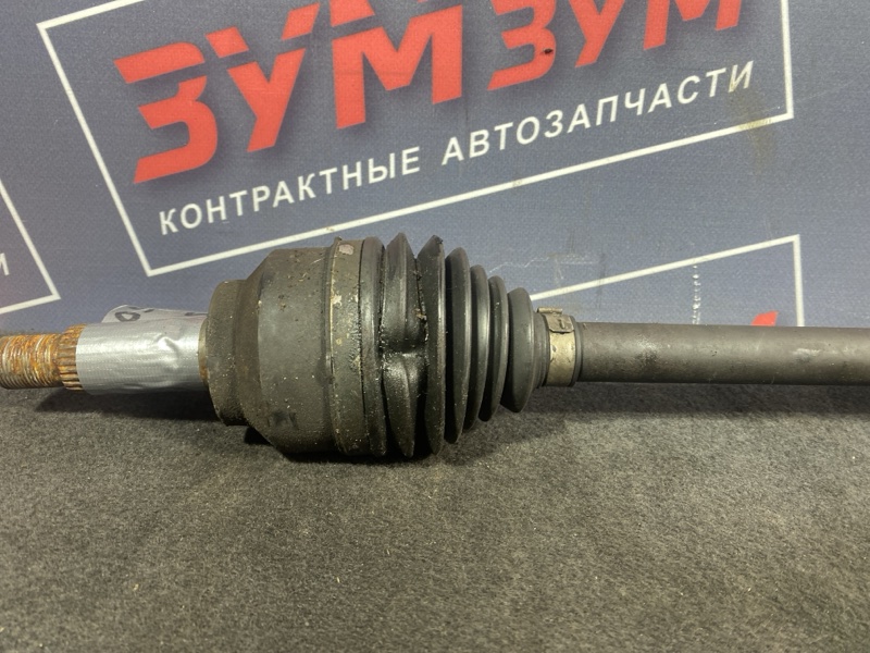 Привод, 7500 рублей, Солонцы
