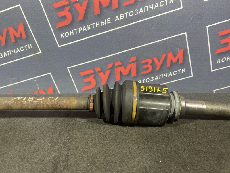 Привод, 11000 рублей, Солонцы