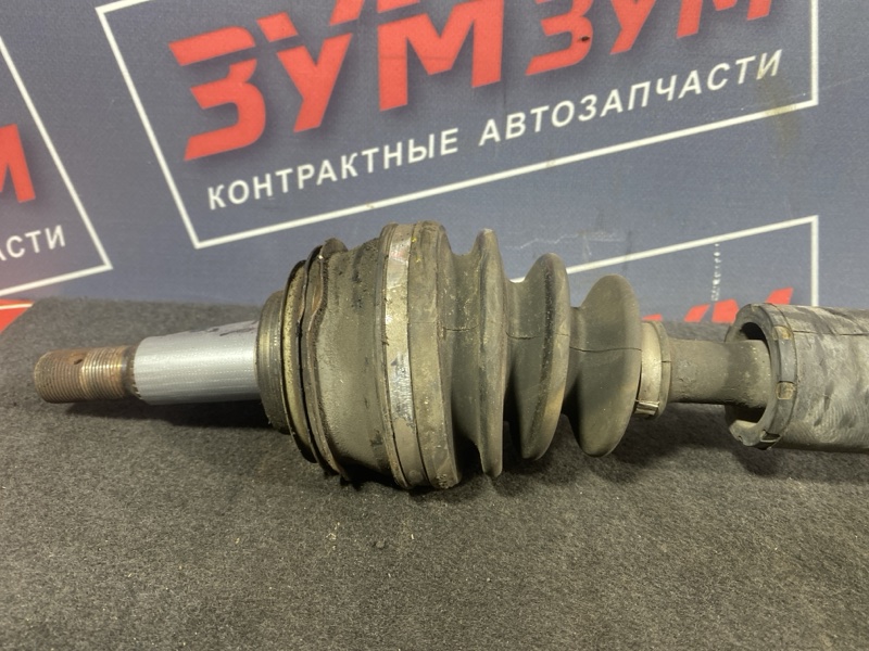 Привод, 8000 рублей, Солонцы