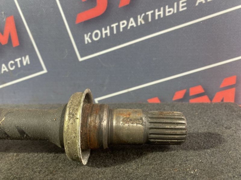 Привод, 8000 рублей, Солонцы