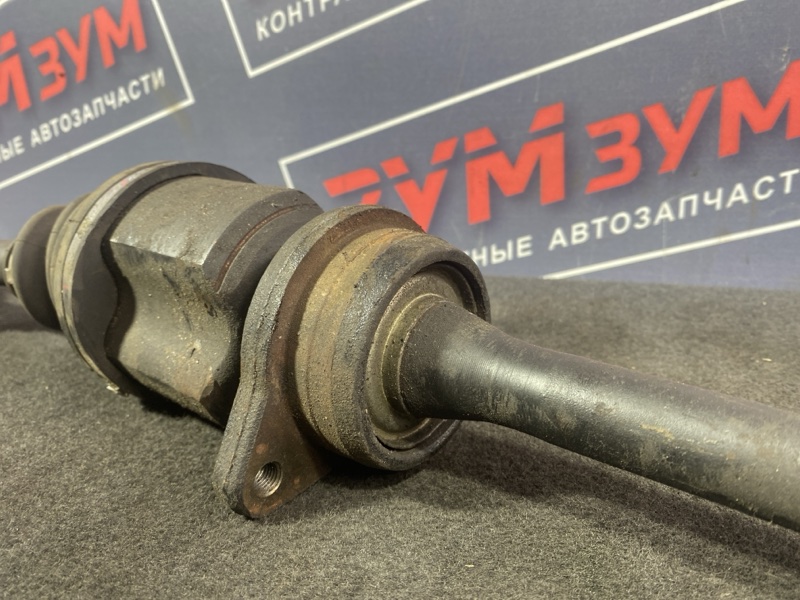 Привод, 8000 рублей, Солонцы