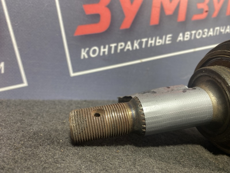 Привод, 8000 рублей, Солонцы