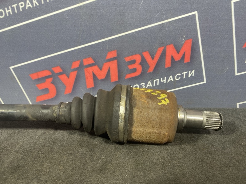 Привод, 4000 рублей, Солонцы