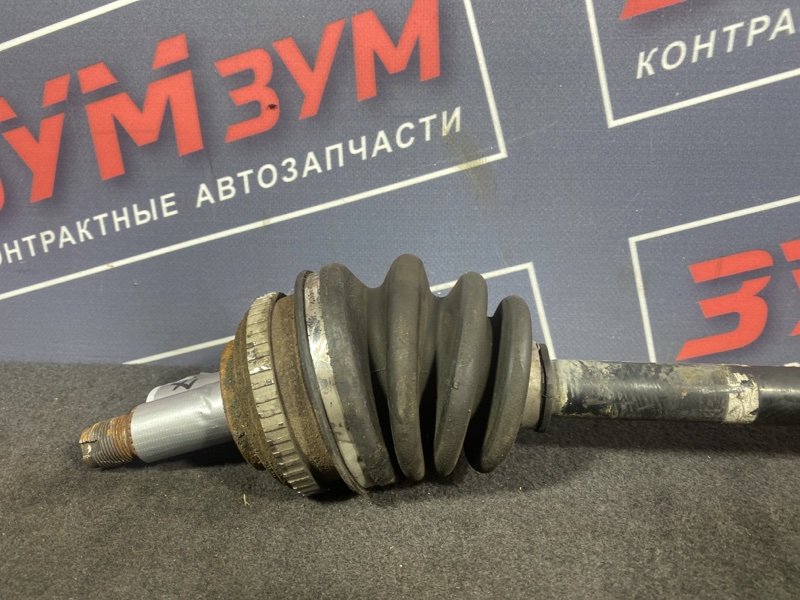 Привод, 4000 рублей, Солонцы