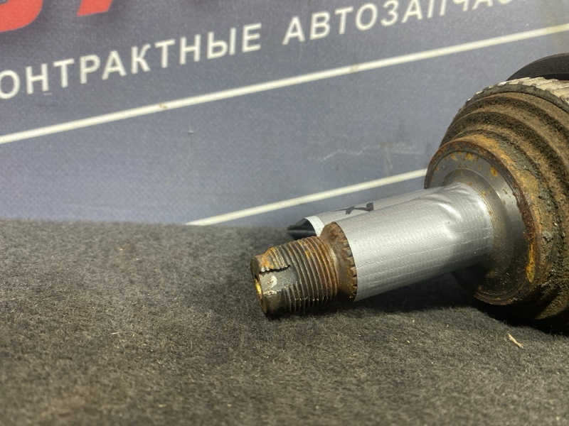 Привод, 4000 рублей, Солонцы