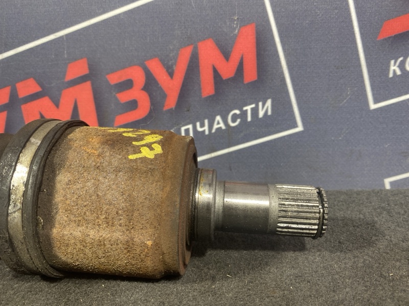 Привод, 4000 рублей, Солонцы