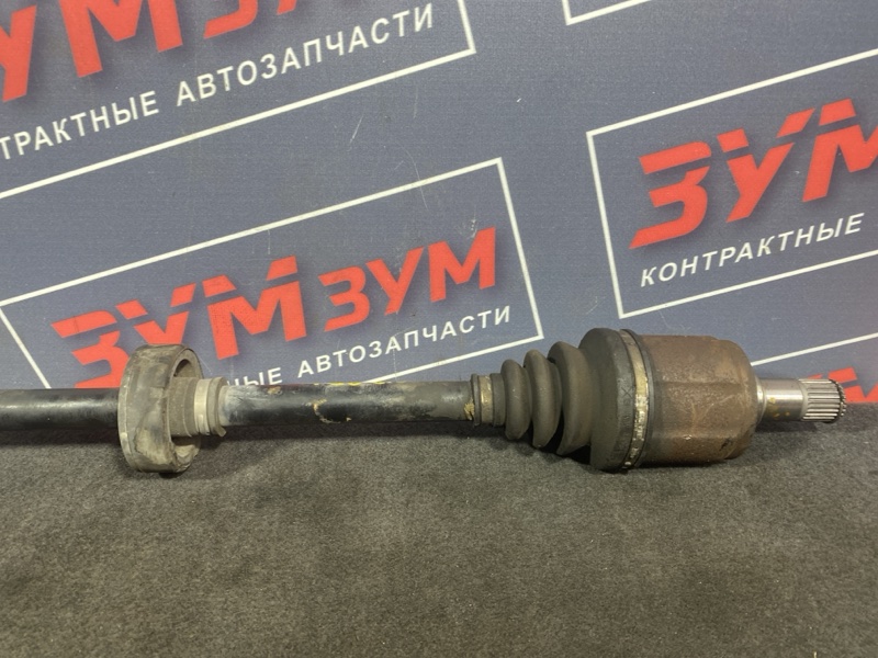 Привод, 2400 рублей, Солонцы