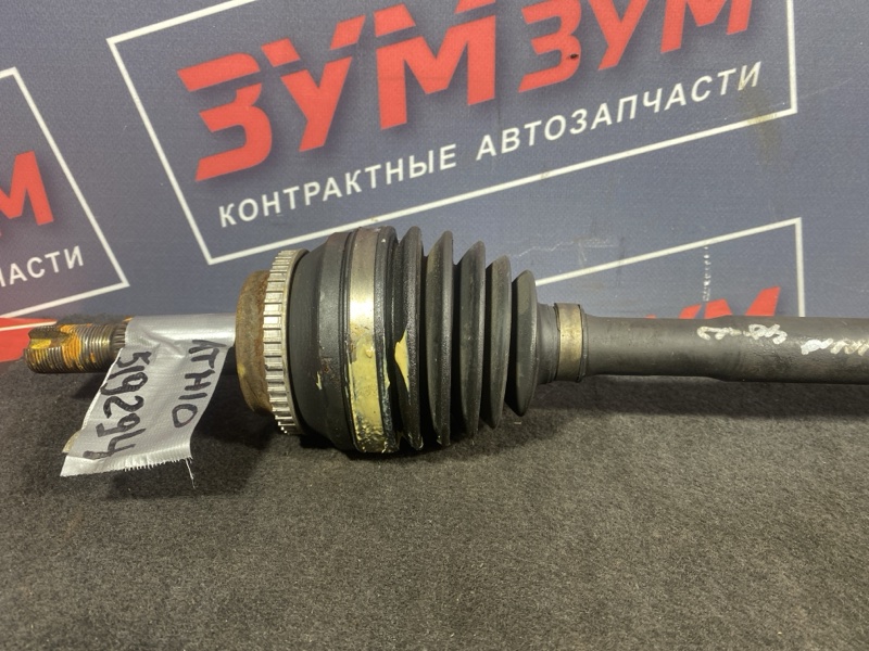 Привод, 5000 рублей, Солонцы