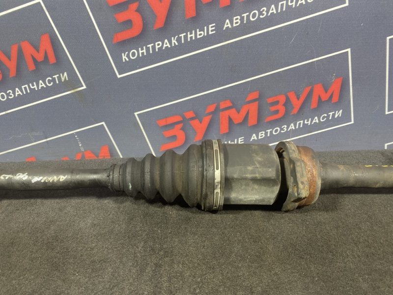 Привод, 5000 рублей, Солонцы