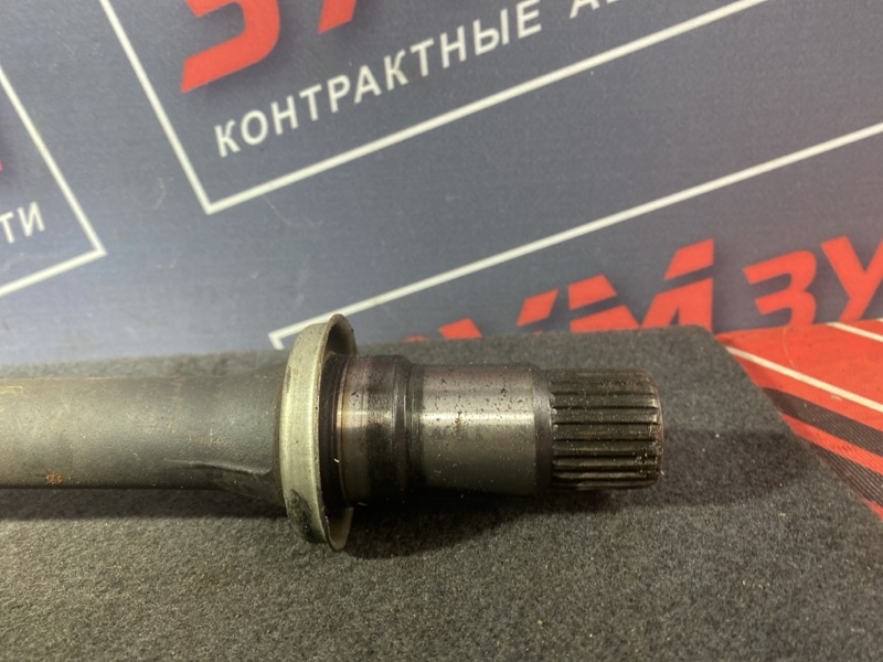 Привод, 5000 рублей, Солонцы