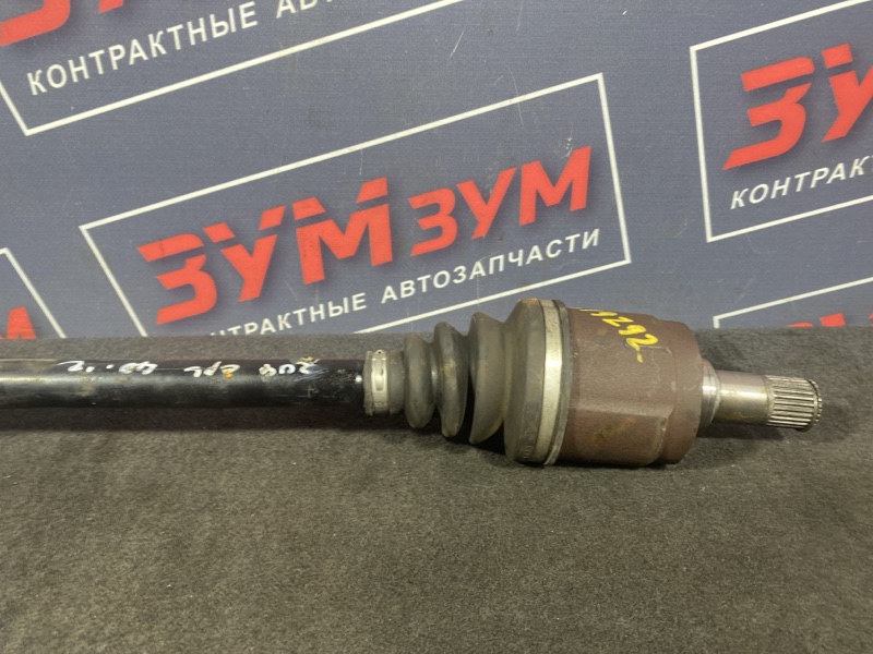 Привод, 7000 рублей, Солонцы