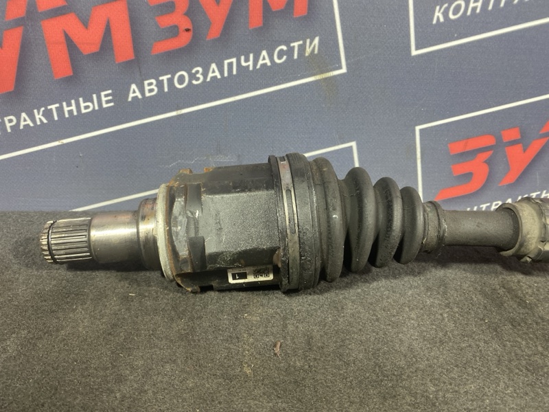 Привод, 5000 рублей, Солонцы