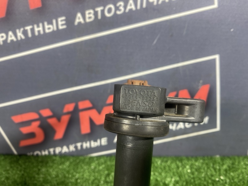 Катушка зажигания, 1000 рублей, Солонцы