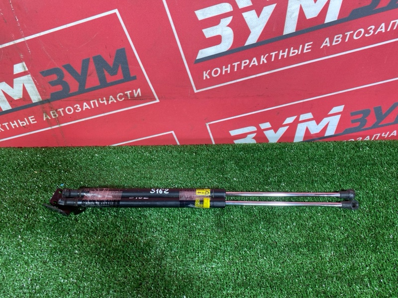 Амортизатор багажника, 500 рублей, Солонцы