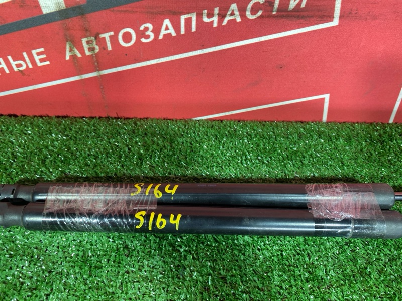 Амортизатор багажника, 1000 рублей, Солонцы