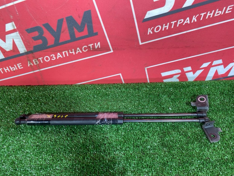 Амортизатор капота, 1000 рублей, Солонцы