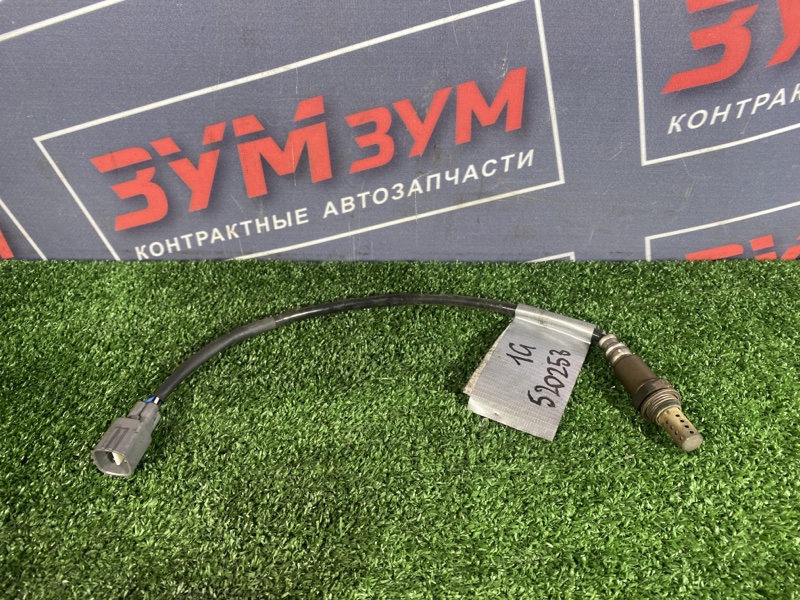 Датчик кислородный, 1000 рублей, Солонцы