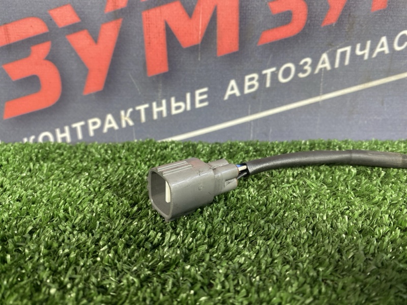 Датчик кислородный, 1000 рублей, Солонцы