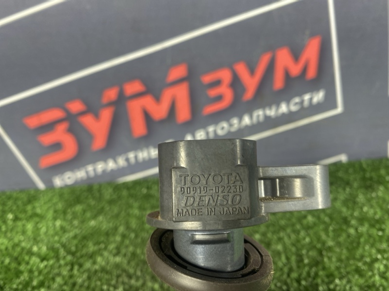 Катушка зажигания, 1000 рублей, Солонцы