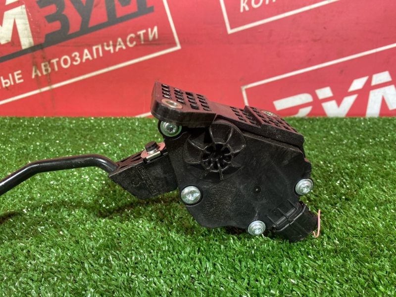 Педаль газа, 2500 рублей, Солонцы