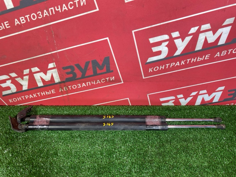 Амортизатор багажника, 2500 рублей, Солонцы