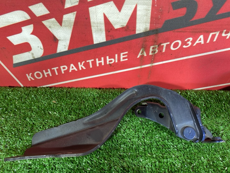 Петля (Шарнир капота), 2500 рублей, Солонцы