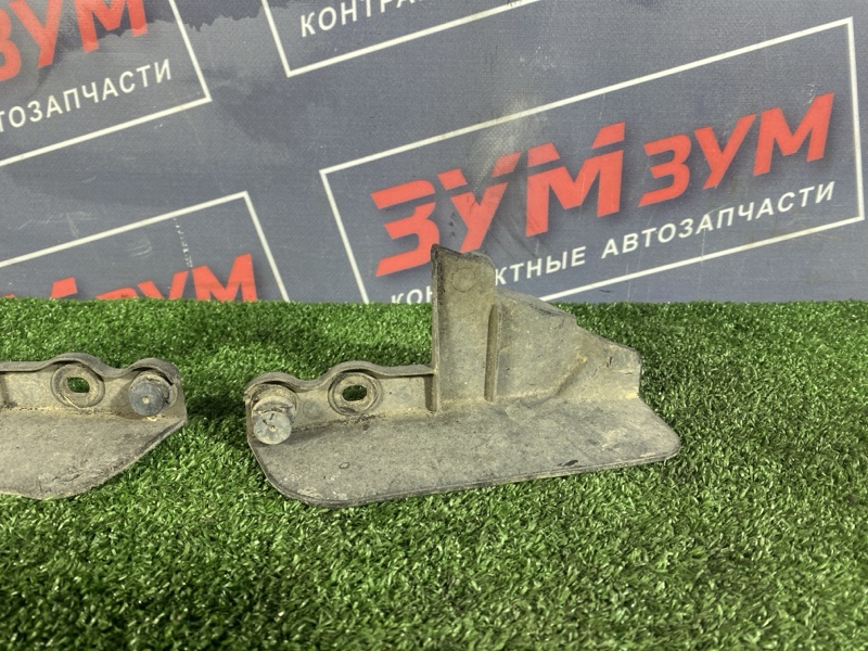 Брызговик, 1000 рублей, Солонцы